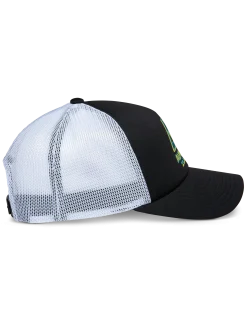 Ayess Trucker