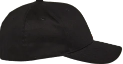 Corp Shift 2 Curved Brim